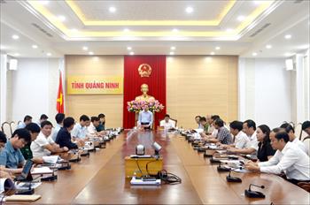 Lãnh đạo tỉnh cho ý kiến về ý tưởng đầu tư một số dự án tại huyện Hải Hà