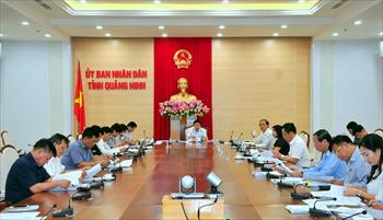 Vingroup muốn đầu tư tổ hợp công nghiệp phụ trợ ô tô hơn 3.400 tỷ đồng tại Quảng Ninh