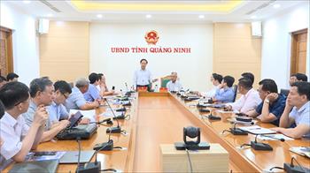 Tập đoàn Mỹ Lan đề xuất ý tưởng đầu tư, kinh doanh nông nghiệp tại Quảng Ninh