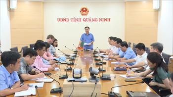 Kiểm điểm tiến độ đầu tư xây dựng và xử lý vướng mắc một số dự án tại Quảng Yên