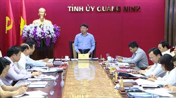 Thường trực Tỉnh ủy nghe và cho ý kiến về Đề án Sáp nhập TP Hạ Long và huyện Hoành Bồ