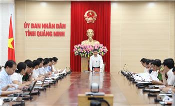 FLC kêu khó triển khai dự án, Chủ tịch tỉnh Quảng Ninh yêu cầu Vinacomin trả đất
