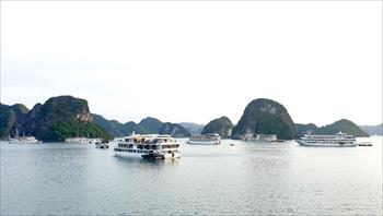 Sớm đưa du lịch Quảng Ninh phục hồi