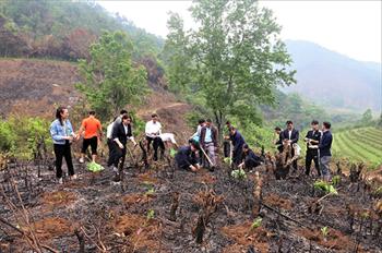 Hỗ trợ 10.000 cây giống cho hộ nghèo xã Lục Hồn