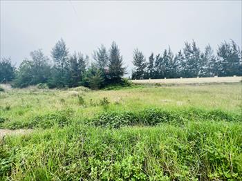 Mảnh đất tại Cô Tô, Quảng Ninh. Giá 4,7 tỷ